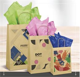 Custom Branded Promotional Gift Bags