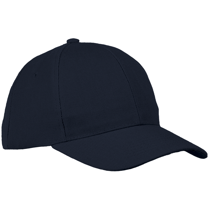 6 Panel Raven Cap - Caps