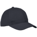 6 Panel Raven Cap  Black / STD / Regular - Caps