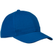 6 Panel Raven Cap True Royal / STD / Last Buy - Caps