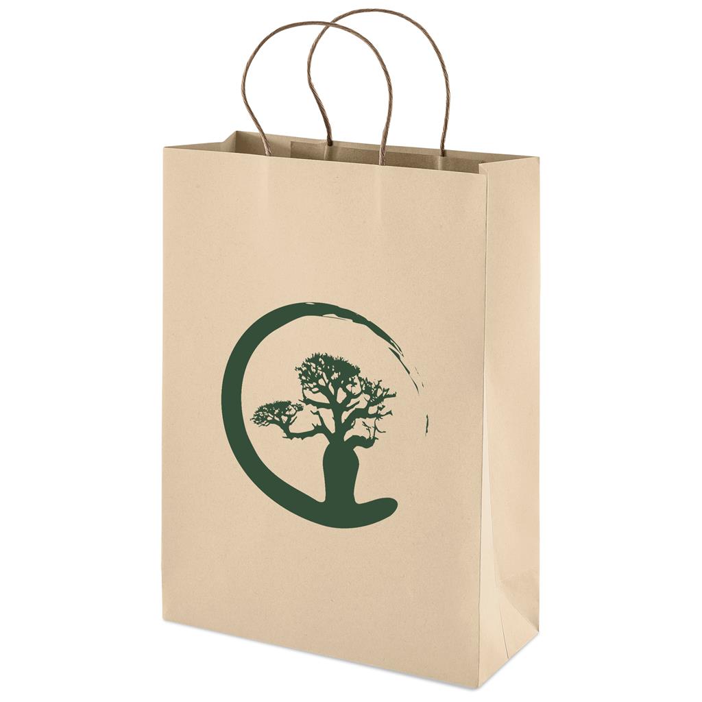 Large Eco-Friendly Paper Gift Bag