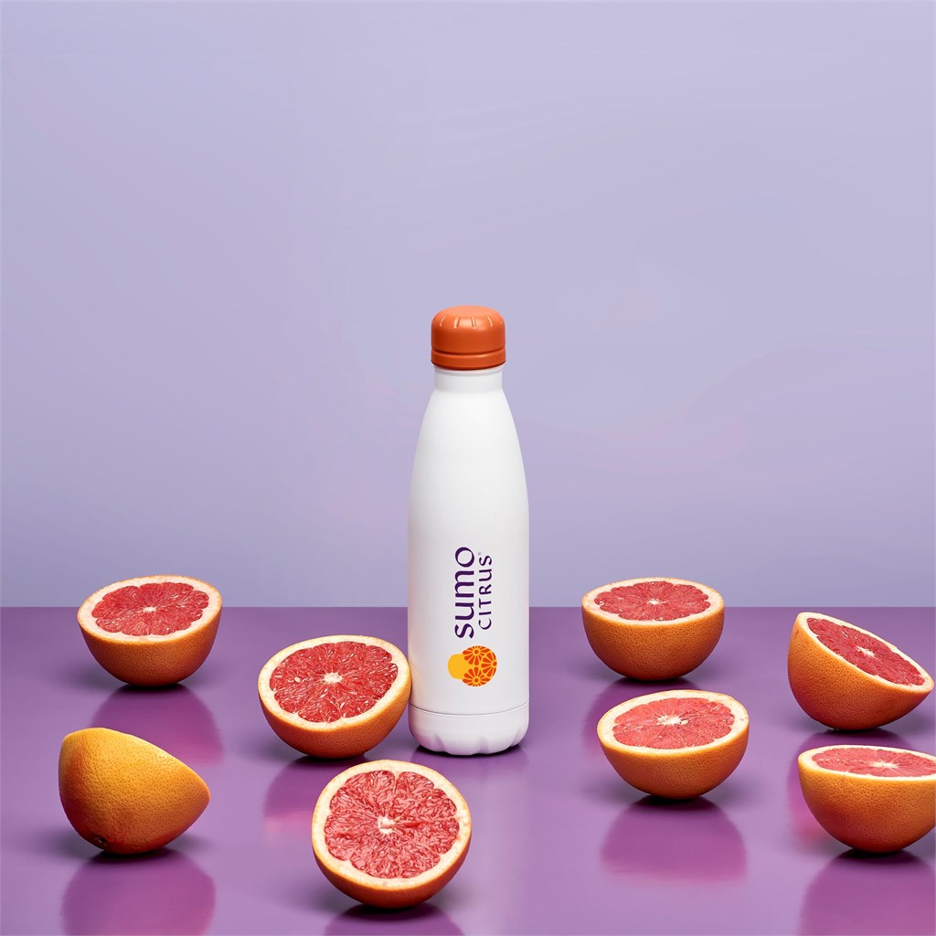 Bingo Vacuum Water Bottle – 500ml