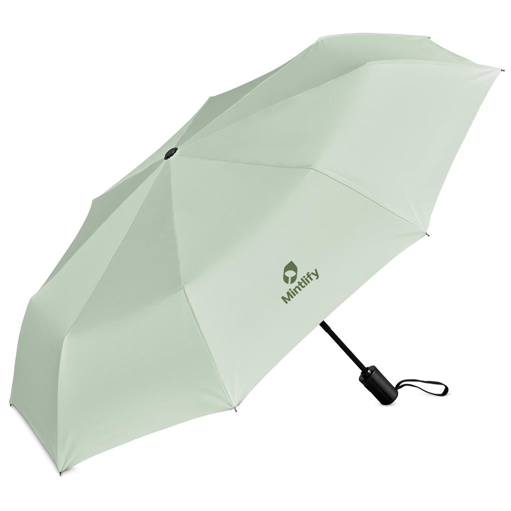 Sleet Auto-Open Compact Umbrella