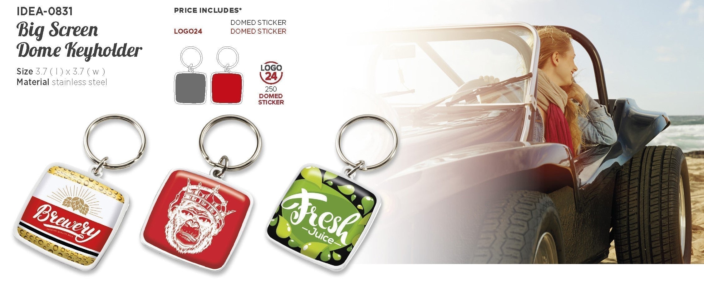 Big Screen Dome Keyholder-Silver-S