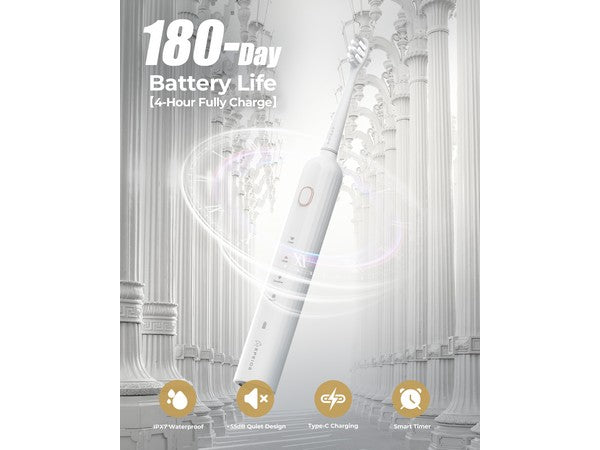 Electric Toothbrush