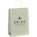 Vogue Midi Paper Gift Bag LIGHT GREEN - Bags,Paper Products,Bags,Fashion Colour Ideas,Bags,Bags